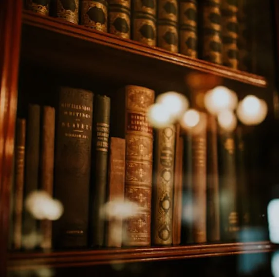 Government & Institutional Publications